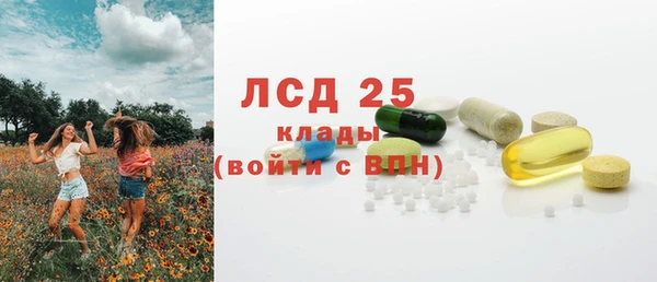 гашик Богданович
