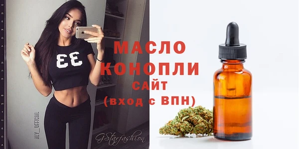 гашик Богданович