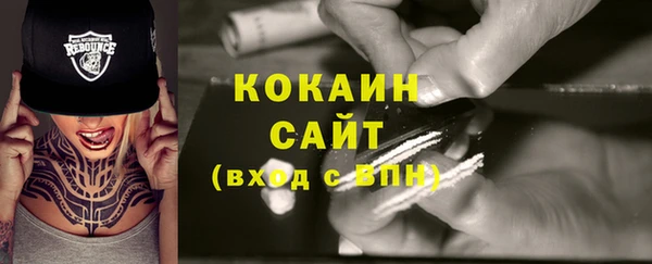 сатива Белокуриха