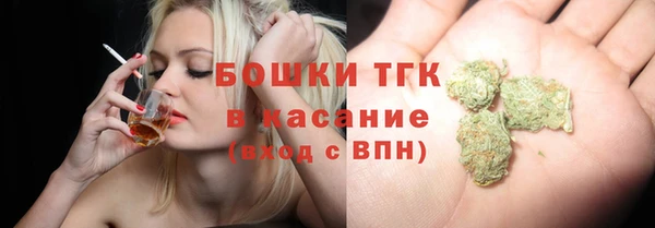 сатива Белокуриха
