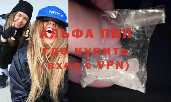 гашик Богданович