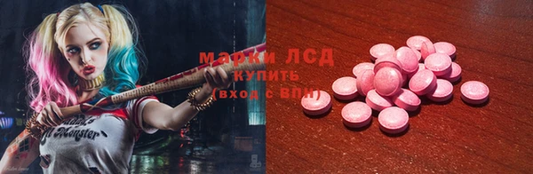 ГАЛЛЮЦИНОГЕННЫЕ ГРИБЫ Беломорск
