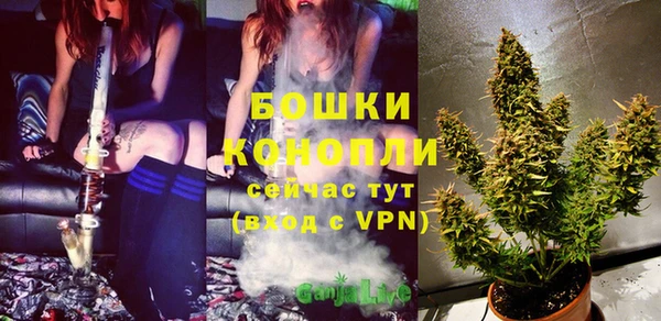сатива Белокуриха